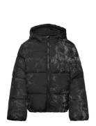 Puffer Jacket Fodrad Jacka Black Tom Tailor