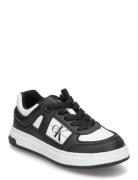 Low Cut Lace-Up Sneaker Black/White Låga Sneakers Black Calvin Klein