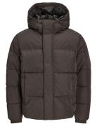 Jjebradley Puffer Hood Sn Fodrad Jacka Brown Jack & J S