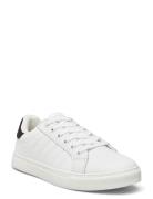 Percy W Låga Sneakers White Exani