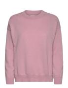 GANT Superfine Lambswool C-Neck Rosa