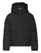 Jjworld Puffer Jacket Mni Fodrad Jacka Black Jack & J S