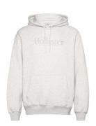 Hollister Hco. Guys Sweatshirts Grå