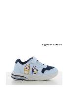 Bluey Sneaker Låga Sneakers Blue Bluey