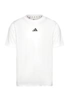 Adidas Sportswear J Tr-Es T Vit