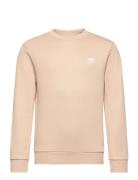 Crew Sport Sweat-shirts & Hoodies Sweat-shirts Beige Adidas Originals