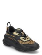 Belissimo Sneaker Låga Sneakers Black Steve Madden