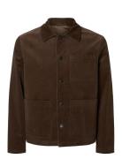 Selected Homme Slhreg-Cole Cord Hybrid Blz Brun