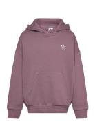 Adidas Originals Hoodie Lila