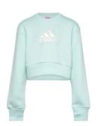 Adidas Sportswear Jg Glm Crew Blå