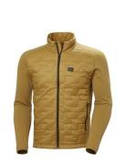 Helly Hansen Lifa Loft Hybrid Insulator Jkt Guld