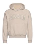 Hollister Hco. Guys Sweatshirts Beige