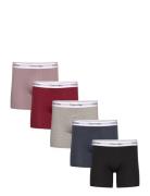 Calvin Klein Boxer Brief 5Pk Svart