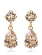 Caroline Svedbom Mini Drop Earrings Guld