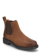 Clarks Orinoco2 Lane D Brun