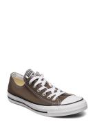 Converse Chuck Taylor All Star Brun