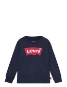 Levi's Levi's® Long Sleeve Graphic Tee Shirt Blå