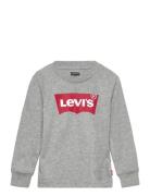 Levi's Levi's® Long Sleeve Graphic Tee Shirt Grå