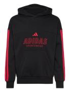 Adidas Sportswear J Hot Fl Hood Svart