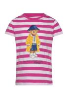 Ralph Lauren Kids Striped Polo Bear Cotton Jersey Tee Rosa