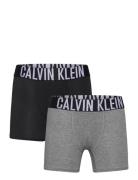 Calvin Klein 2Pk Boxer Brief Multi/patterned