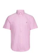 Polo Ralph Lauren Custom Fit Oxford Shirt Rosa