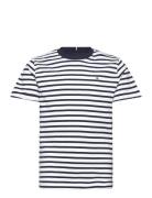 Tommy Hilfiger Essential Cotton Tee S/S Marinblå