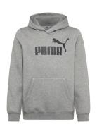 PUMA Ess No. 1 Logo Hoodie Fl B Grå