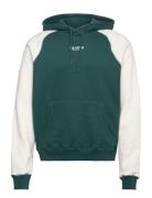 Hollister Hco. Guys Sweatshirts Grön