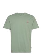 Dickies Ss Mapleton Tee Grön