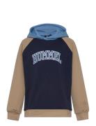 Hummel Hmlessen Hoodie Marinblå