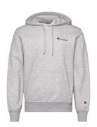 Champion Hooded Sweatshirt Grå