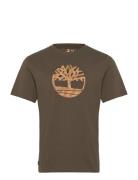 Timberland Camo Tree Logo Short Sleeve Tee Khaki Green