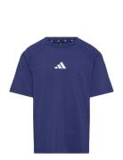 Adidas Sportswear J Gt Pz Tee Blå