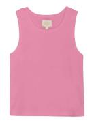 Creamie Top Rib Rosa