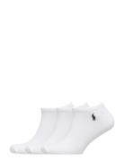 Polo Ralph Lauren Low-Cut Sock 3-Pack Vit