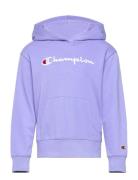 Champion Hooded Sweatshirt Lila