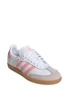 Adidas Originals Samba Og J Vit