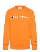 Champion Crewneck Sweatshirt Orange