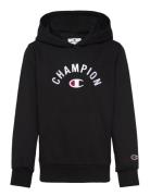 Champion Hooded Sweatshirt Svart